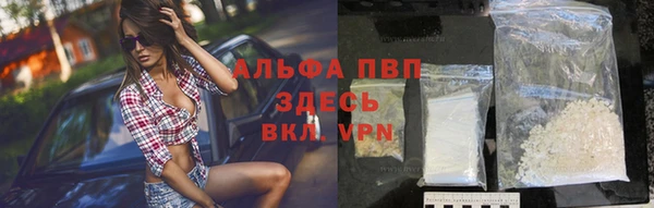стаф Вяземский