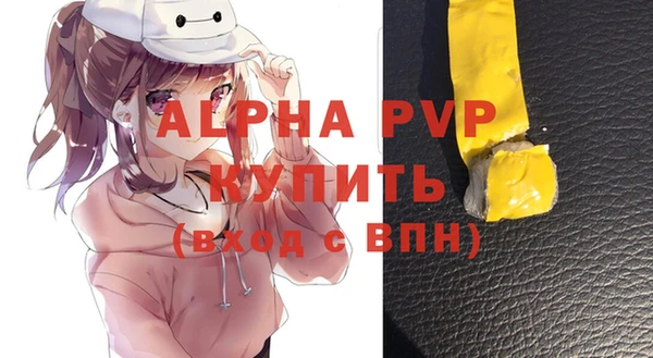 стаф Вяземский
