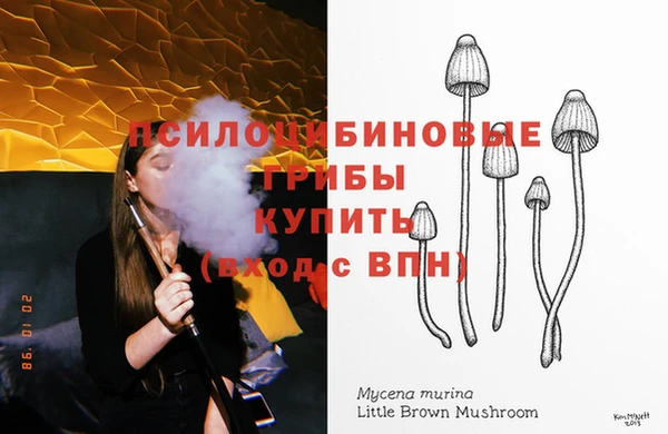 стаф Вяземский