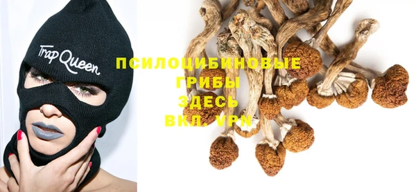 ГАЛЛЮЦИНОГЕННЫЕ ГРИБЫ Вязьма