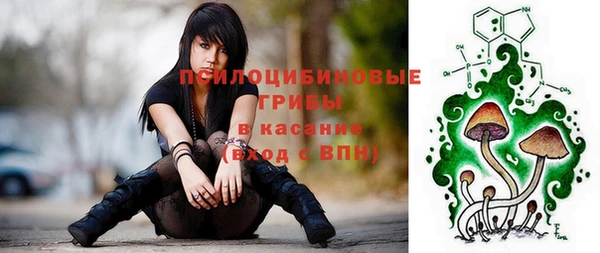 ГАЛЛЮЦИНОГЕННЫЕ ГРИБЫ Вязьма